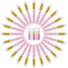 80 Pcs Lash Shampoo Brushes with Container Pink Eyelash Cleaning Bulk Glitter Eyelash Extension Cleansing Crystal Facial Cosmetic Lash Shampoo Brushes Blackhead Removing view 1