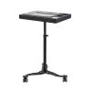 TATARTIST Tattoo Tray Cart Stainless Steel Salon Tray on Wheels Tattoo Rolling Tray Station Adjustable Height Storage Utility Cart for Clinic Spa Tattoo Rolling Tray (Black) view 2