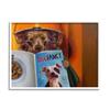 Stupell Industries Glam Hair Salon Dog Perm Hairstyle Magazine, Design by Lucia Heffernan view 1