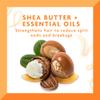 Cantu Daily Oil Moisturizer with Shea Butter, 13 fl oz (Pack of 3) view 3