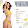 Gigi Solution - Gigi Small & Large Muslin Strips AND Satin Smooth Zinc Oxide Hair Removal Wax view 4
