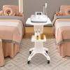 Beauty Instrument Cart Salon Trolley Stand Salon Roller Trolley Cart with Lockable Wheels Max Load 110lbs view 4