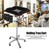 Salon Tray on Wheels, Stainless Steel Salon Tray Cart Adjustable Height Storage Tray, Hair Extension Tool Tray Cart Height Adjust Movable Hairdressing Cart Tool Holders Stand for Hair Salon view 4