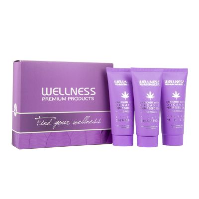 Wellness Premium Silver Travel Set Top for Silver Hair, Highlights & Bleached Blonde Maintenance | Shampoo (2 x 50 mL) + Mask (50 mL) | Enriched With Organic Hemp Oil | Travel Toileteries