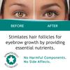 FEG Max Eyebrow Enhancer Growth Treatment Serum | Enhancing to Help Lengthen and Thicken Eyebrows | Non-irritating Brow Serum | 6ml view 4