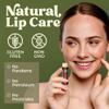 Earth's Daughter SPF Lip Balm 4-Pack Strawberry Flavor Stocking Stuffers - Lip Sunscreen, SPF 15, Organic Ingredients, Beeswax, Coconut Oil, Vitamin E - Hypoallergenic, Paraben Free, Gluten Free view 2