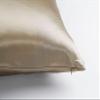 100% Mulberry Silk Pillowcase for Hair & Skin (Both Sides) | Zipper Enclosure, 16 Momme view 3