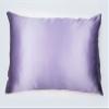 2 Pack 100% Mulberry Silk Pillowcase for Hair & Skin (Both Sides) | Zipper Enclosure, 16 Momme view 1