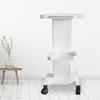 LoyalHeartDY Beauty Trolley Cart - Sturdy, Durable, and Load-Bearing with 35x35cm Storage Space view 2