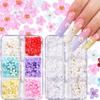 3D Flower Nail Charms, 2 Boxes 3D Acrylic Flower Nail Art Rhinestones White Pink Mixed Cherry Blossom Spring Acrylic Nail Supplies with Pearls Manicure DIY Nail Decorations view 1