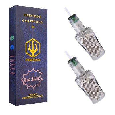 UPTATSUPPLY Poseidon 10Pcs Big Size Tattoo Cartridge Needles 0.35mm Standard Bugpin Curved Mag 29 Round Magnum with Membrane Safety Cartridges (#12 Standard-1229 RM)