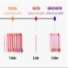 KEYBO Lip Plumper Dotom Lip Plus 16 Colors, 3 Steps Extreme Plumping Clear Lip Gloss by Essence Lip Care Oil & 16 Color Tints from Korean Makeup (01. Spring Glass) view 4