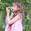 BARTOSI Butterfly Hair Clips Green Butterfly Hair Clip Cute Butterflies Hair Barrettes Styling Hair Accessories for Women and Girls (Pack of 20) view 3