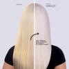 Charcolite Conditioner for Color Treated Hair - Blonde Conditioner - Charcoal Conditioner - Brass-Off Conditioner - Cool Toning Conditioner w/Restorative BondPlex 8.5 fl oz view 4