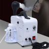 Professional Hair Steamer, 1200W Nano Hydrating Hair Steamer Spray Dyeing Perming Tool Hair Repairing Salon Equipment Color Processor Hairdress Salon SPA Beauty 110V/60Hz view 4