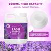 ACTROL Eyelash Extension Cleanser Lavender 2L Natural Lash Extension Shampoo Professional Eyelid Foaming Cleanser Paraben & Sulfate Free Non-lrritating with Salon and Home Care view 4