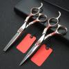 Hair Cutting Scissors, 6inch Professional Japan 440c Steel Upscale High Hardness Salon Styling Scissors Hairdresser Hairdressing Scissors Tool Set (Color : Sunflower set) view 2