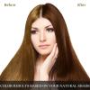 Ivnil Augeashair Dark Brown Hair Dye Shampoo for Gray Augeas Instant Color 3 in 1 Women and Men Augeo, Herbal Ingredients 100% Grey Coverage 500ML view 3