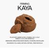 COSTA BRAZIL Oleo Para O Corpo - Kaya Jungle Firming Oil Travel Size view 3