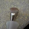 Blush brush view 2