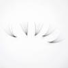 1000 Premade Lash Fans. 10D, 8D, 7D, 6D, 5D, 4D, 3D. Eyelash extensions, Handmade! (8D Curl C - 1000 Fans, 08mm) view 4