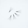 1000 Premade Lash Fans. 10D, 8D, 7D, 6D, 5D, 4D, 3D. Eyelash extensions, Handmade! (Curl D- 10D -1000 Fans, 20mm) view 4