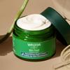 Weleda Skin Food Face Care Nourishing Night Cream, 1.3 Fluid Ounce, Plant Rich Moisturizer with Sacha Inchi Oil, Cica and Squalane view 3