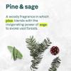 ATTITUDE Liquid Hand Soap, EWG Verified, Plant and Mineral-Based, Vegan Personal Care Products, Pine & Sage, 16 Fl Oz view 4