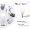 Volume Lash Extensions 10D Brown Premade Fans 500 PCS 0.07mm 9-16mm Mixed C/D Curl Short Stem Premade Volume Eyelash Extensions Pointed Base Fans by WENDY LASHES (500PCS-10D-0.07-C, 9-16mm MIXED) view 4