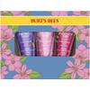 Burt's Bees Spring Gift, 3 Moisturizing Self Care Gifts, Shea Butter Hand Cream Trio Spring Set - Lavender & Honey, Wild Rose & Berry and Watermelon & Mint (Packaging May Vary) view 1