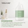 Terra Pure Green Tea Hotel Body Lotion | 1 Gallon | For Hospitality & Vacation Rentals to Refill Dispensers | (Set of 4) view 2