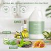 Terra Pure Green Tea Hotel Body Lotion | 1 Gallon | For Hospitality & Vacation Rentals to Refill Dispensers | (Set of 4) view 4