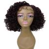 LUXLUXE Nova Curly Pixie 11.5" In Long Lace Front Wig, Heat Resistant Fibers, 16+ Shades of Natural, Dip Dyed, & Blended Colors view 1