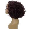 LUXLUXE Nova Curly Pixie 11.5" In Long Lace Front Wig, Heat Resistant Fibers, 16+ Shades of Natural, Dip Dyed, & Blended Colors view 3