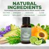 Perfecto Toenail Treatment with Tea Tree Oil - Fingernail and Toe Nail Treatment Extra Strength - Nail Repair Foot Nail Treatment - Renews Foot, Yellow & Cracked Nails view 4