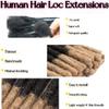 0.6 cm Thickness 14 Inch #T1B/27 60 Strands 100% Real Human Hair Dreadlock Extensions for Men and Women. Handmade for Full Head, Can Be Dyed and Bleached. Dreadlocks Bulk Permanent Locs view 3