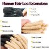 0.6 cm Thickness 8 Inch #T1B/613 30 Strands 100% Real Human Hair Dreadlock Extensions for Men and Women. Handmade for Full Head, Can Be Dyed and Bleached. Dreadlocks Bulk Permanent Locs view 3