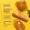 Burt's Bees Christmas Gifts, 4 Lip Balm Stocking Stuffers Products, Assorted Mix Set - Classic Beeswax, Vanilla, Cucumber Mint & Coconut and Pear (4-Pack) view 2