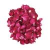 Dried Petals Foot Soak Dried Rose Petals Toiletries Non-irritating 20/50/100G Useful Non-Pungent 100g view 1
