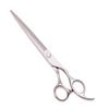 5" 5.5" 6" 7" 8" Hairdressing Cutting Shears Thinning Scissors Hair Scissors Shears C1006 Yin C 75N view 1