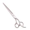 5" 5.5" 6" 7" 8" Hairdressing Cutting Shears Thinning Scissors Hair Scissors Shears C1006 Yin C 75Y view 1