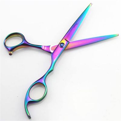 Professional 6 & 5.5 Inch Cut Hair Scissors Set Cutting Shears Thinning Barber Scissor Hairdressing Scissors cutting scissor1