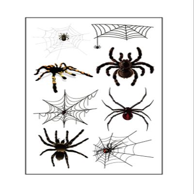 Halloween Skin Temporary Tattoos Sticker,Spiders Cosplay Makeup Tattoos,Spider Cobweb Tattoos Stickers Costume Party