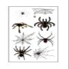 Halloween Skin Temporary Tattoos Sticker,Spiders Cosplay Makeup Tattoos,Spider Cobweb Tattoos Stickers Costume Party view 1