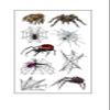Halloween Skin Temporary Tattoos Sticker,Spiders Cosplay Makeup Tattoos,Spider Cobweb Tattoos Stickers Costume Party view 1