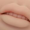Charme Princesse 3D Practice Silicone Lips Skin Permanent Makeup Practice Lips for Tattooing Artists and Beginners TA536-KIT view 2