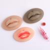 Charme Princesse 3D Practice Silicone Lips Skin Permanent Makeup Practice Lips for Tattooing Artists and Beginners TA536-KIT view 4