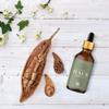 Midwest Sea Salt Company Organic Baobab Carrier Oil - Fair Trade - 4oz view 4