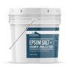 Earthborn Elements Cashmere Vanilla & Peach Epsom Salt 8 lb, One Gallon Bucket, Pure & Undiluted, Soaking Salt with Fragrance view 2