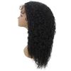 LUXLUXE Deja Curly Glamour 24 in Long 13x6 Wig, Heat Resistant Fibers, 20+ Shades of Natural, Dip Dyed, & Blended Colors view 3